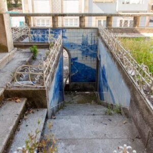 342920850_181211444793262_5797357288613628983_n-1024x683